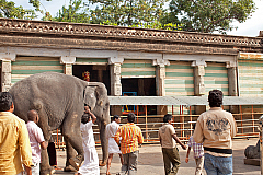 Arunachaleshvar Shiva Temple