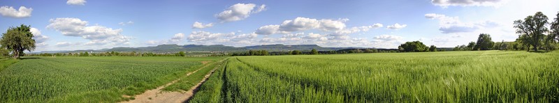 eckhof2