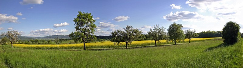 eckhof3