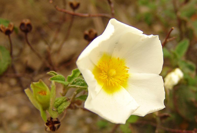 DSC00148.jpg