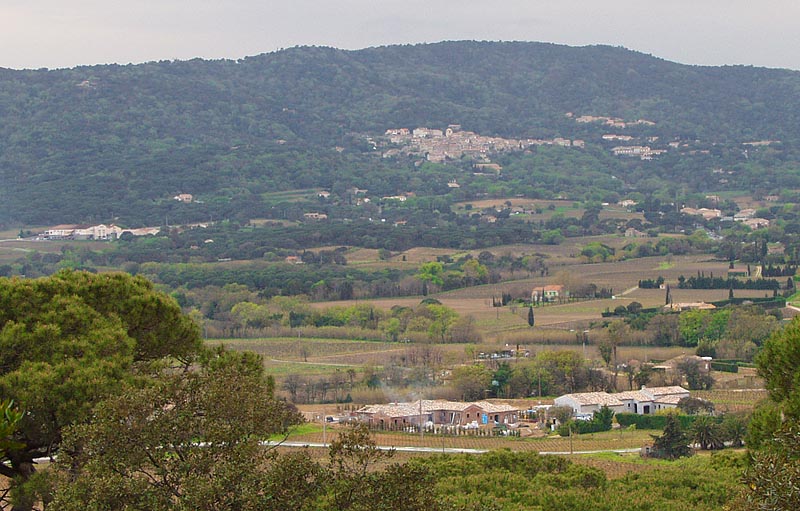 P4130325.jpg