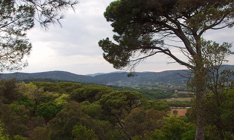 P4130327.jpg
