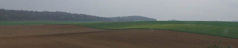 P4171039.jpg