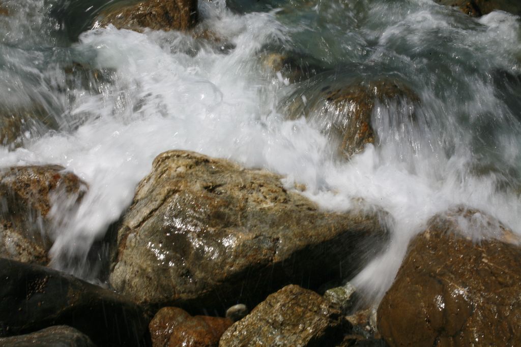 IMG_7786.JPG