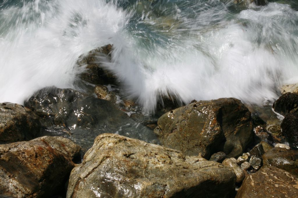 IMG_7787.JPG