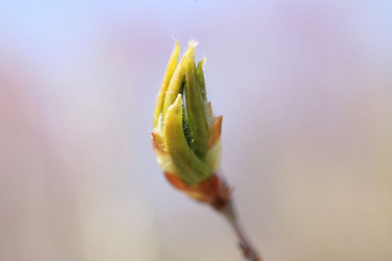 IMG_8075.JPG