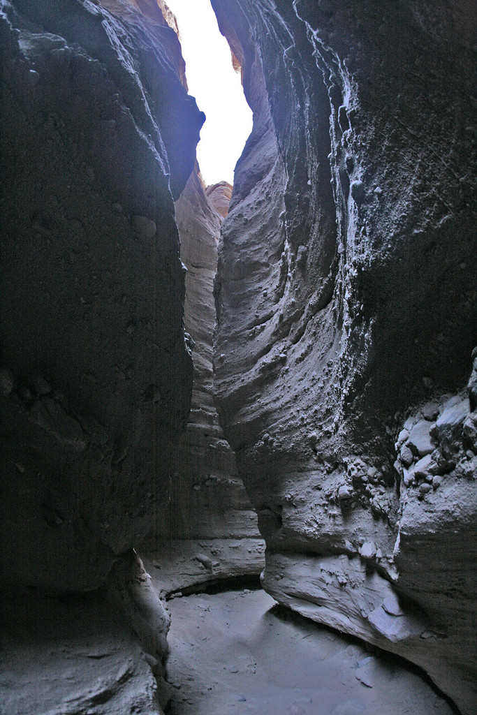 IMG_9966.jpg