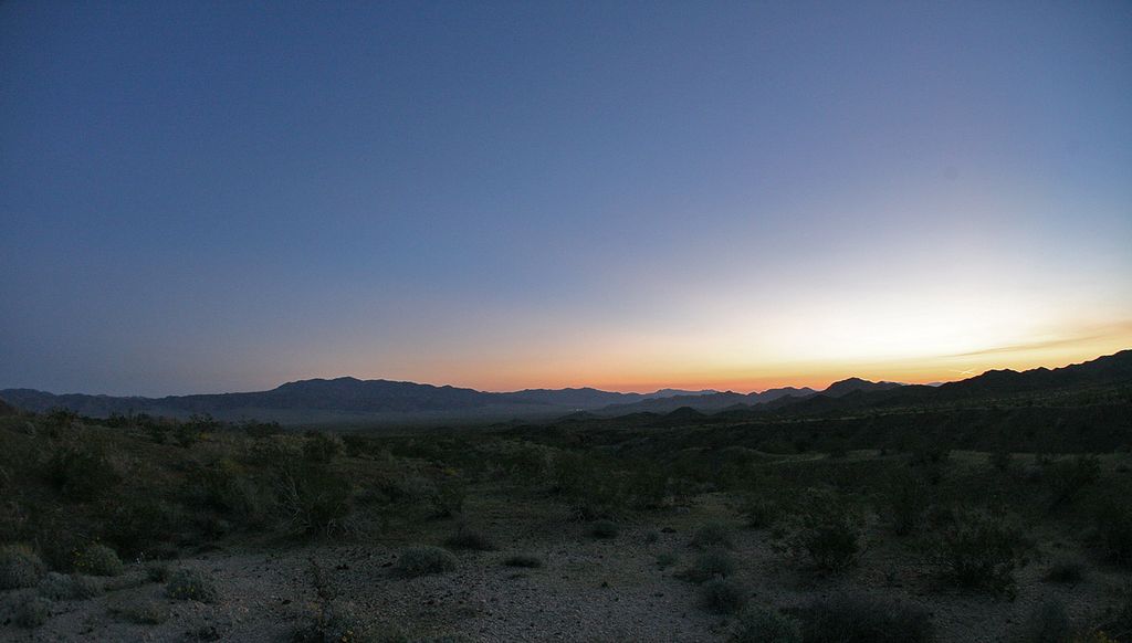 IMG_8531.jpg