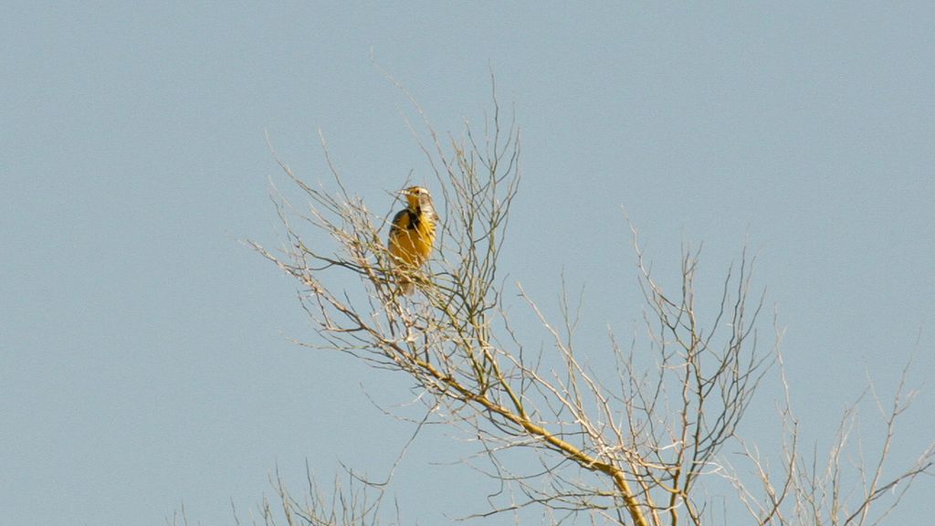IMG_9394.jpg