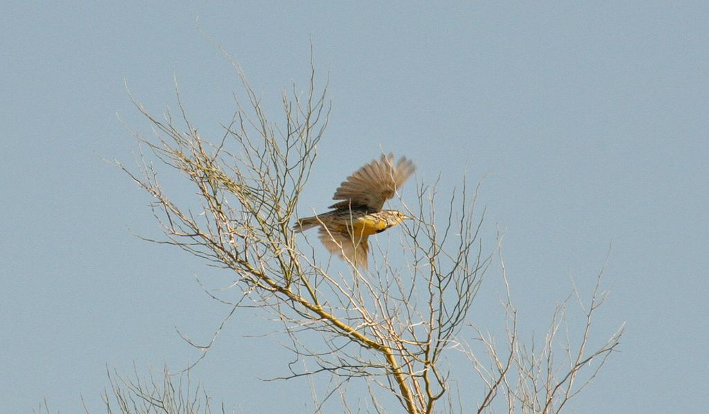 IMG_9396.jpg