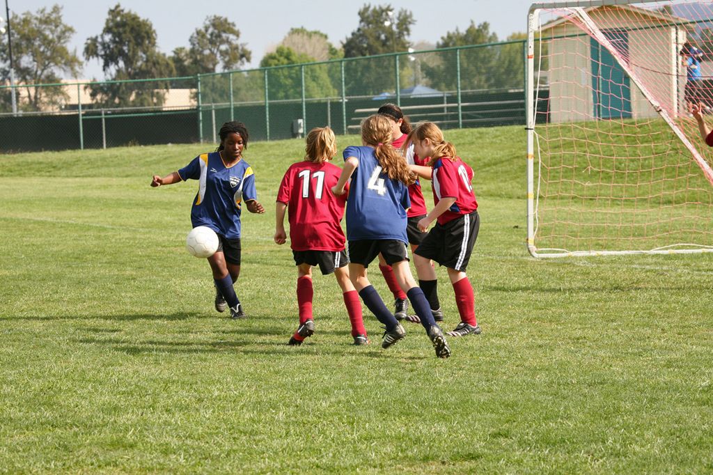IMG_7961.jpg