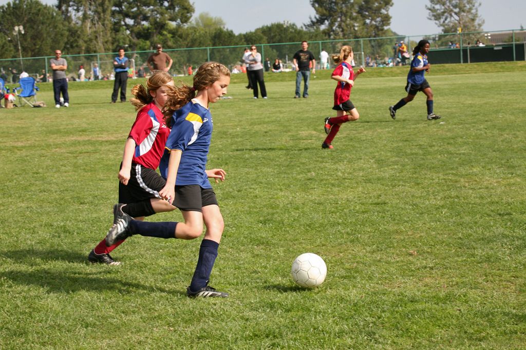 IMG_7969.jpg