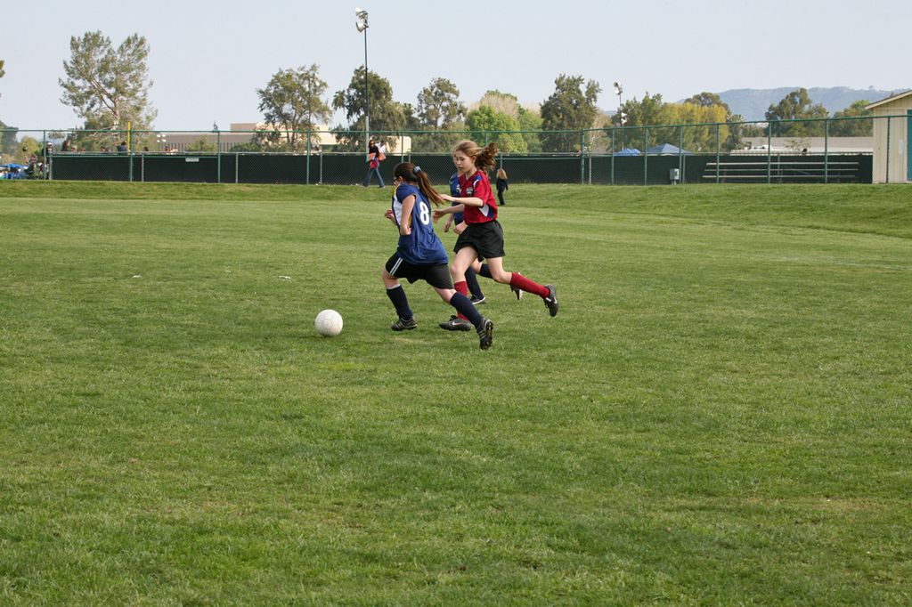 IMG_8053.jpg