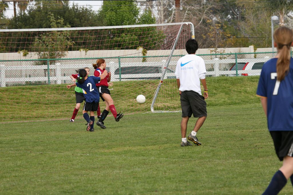 IMG_8225.jpg