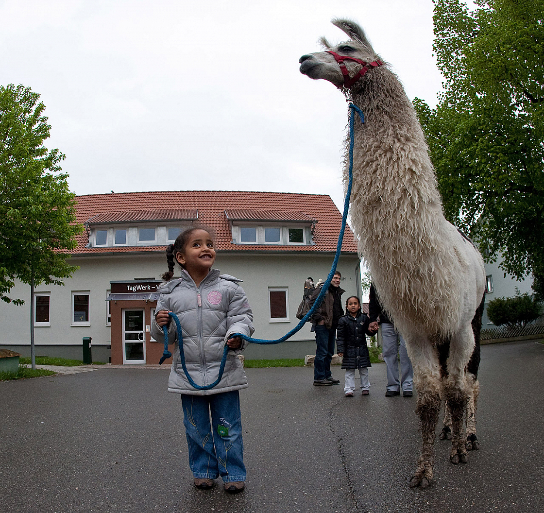 IMG 7245