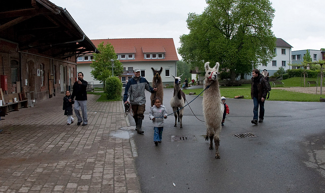 IMG 7256