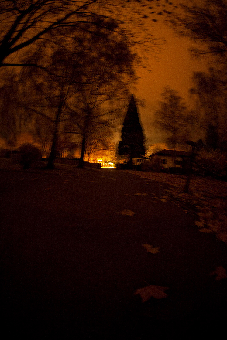 IMG 8850