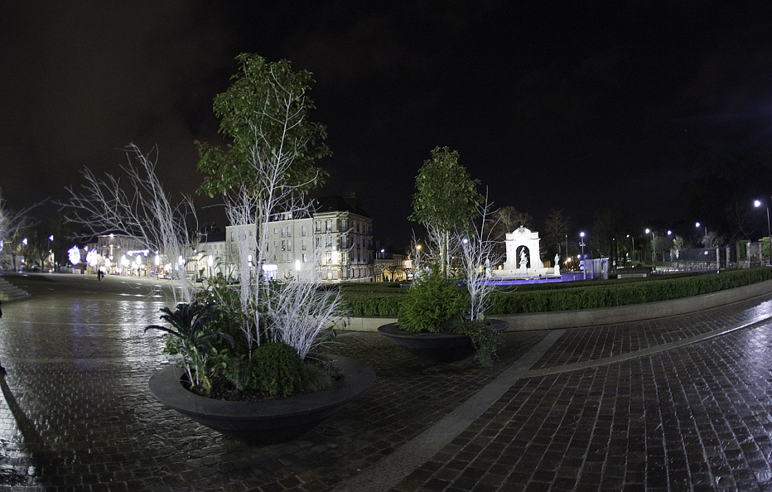 IMG_6037.jpg