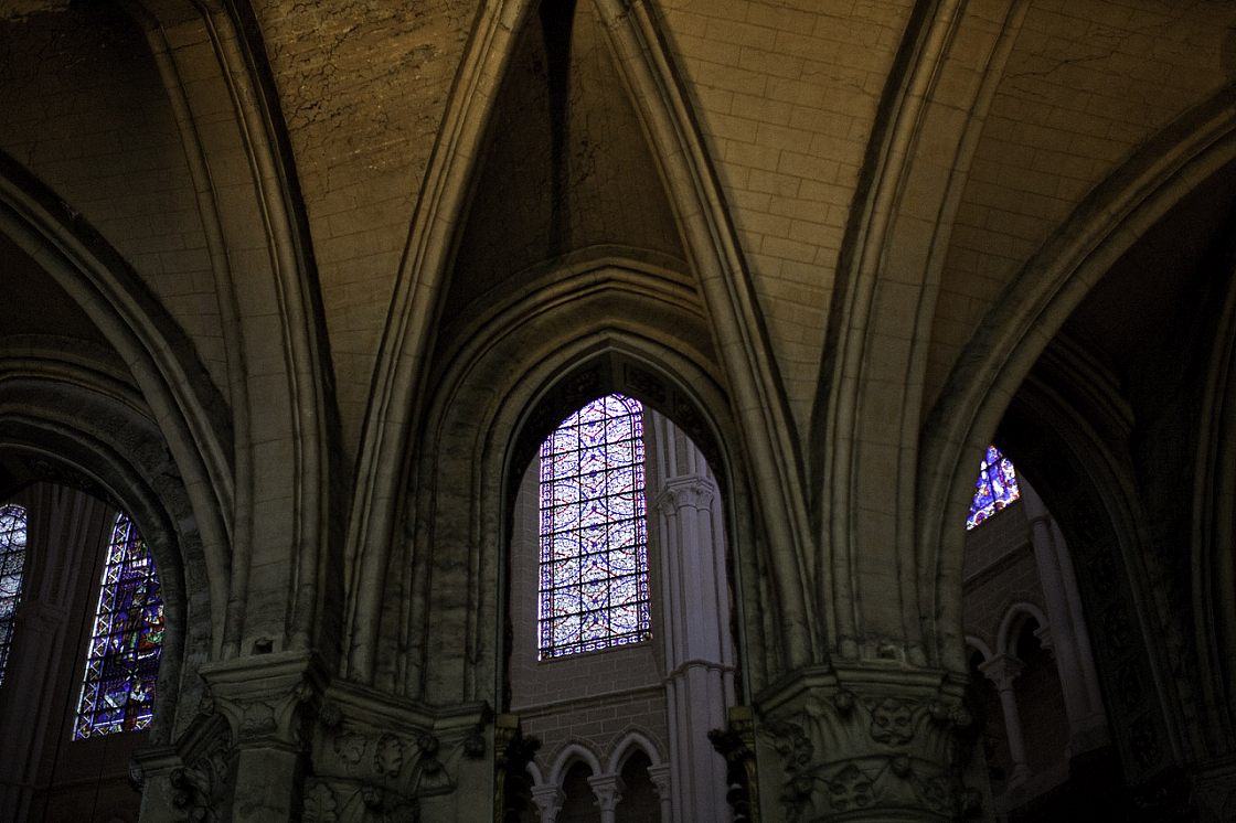 IMG_6131.jpg