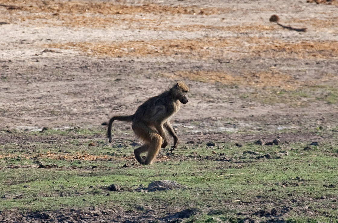 IMG 7232