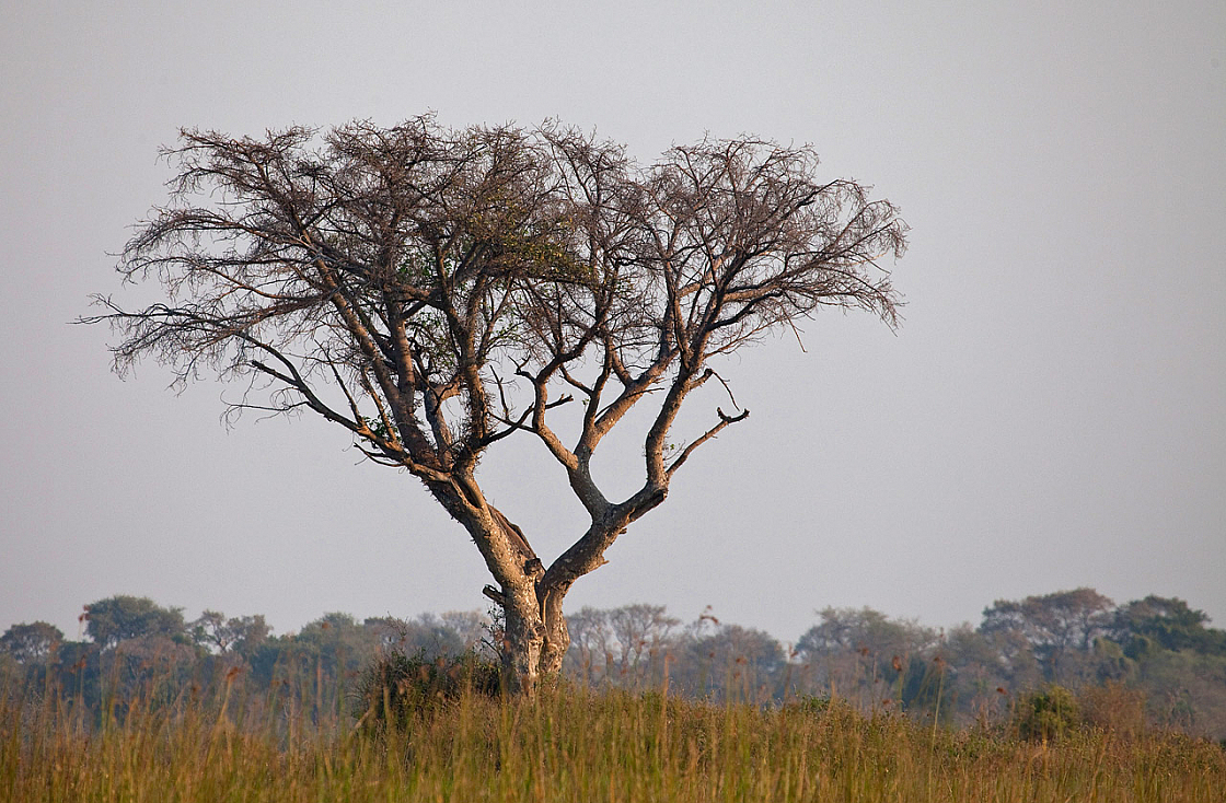 IMG 9096