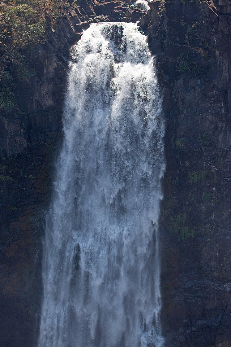 IMG 7895