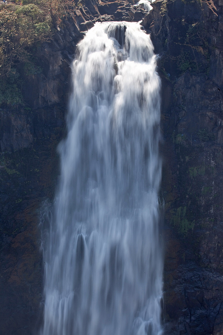 IMG 7901