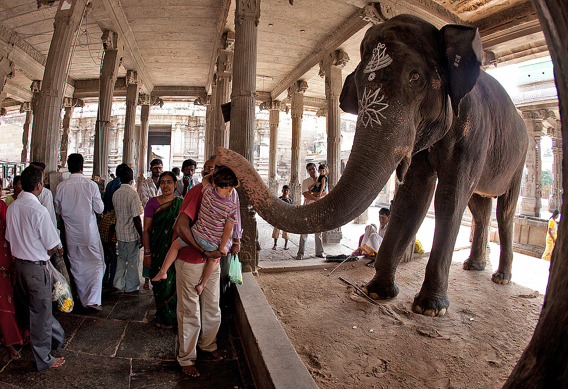 2011-01-09 11-15-53 IMG 0828