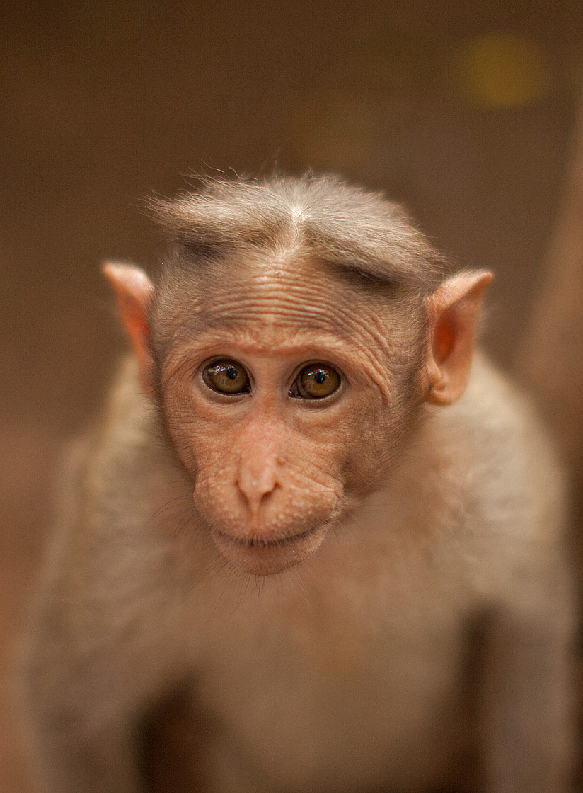 2011-01-08 10-40-36 IMG 5991