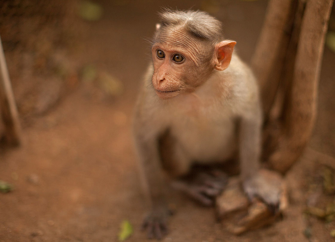 2011-01-08 10-40-44 IMG 5993