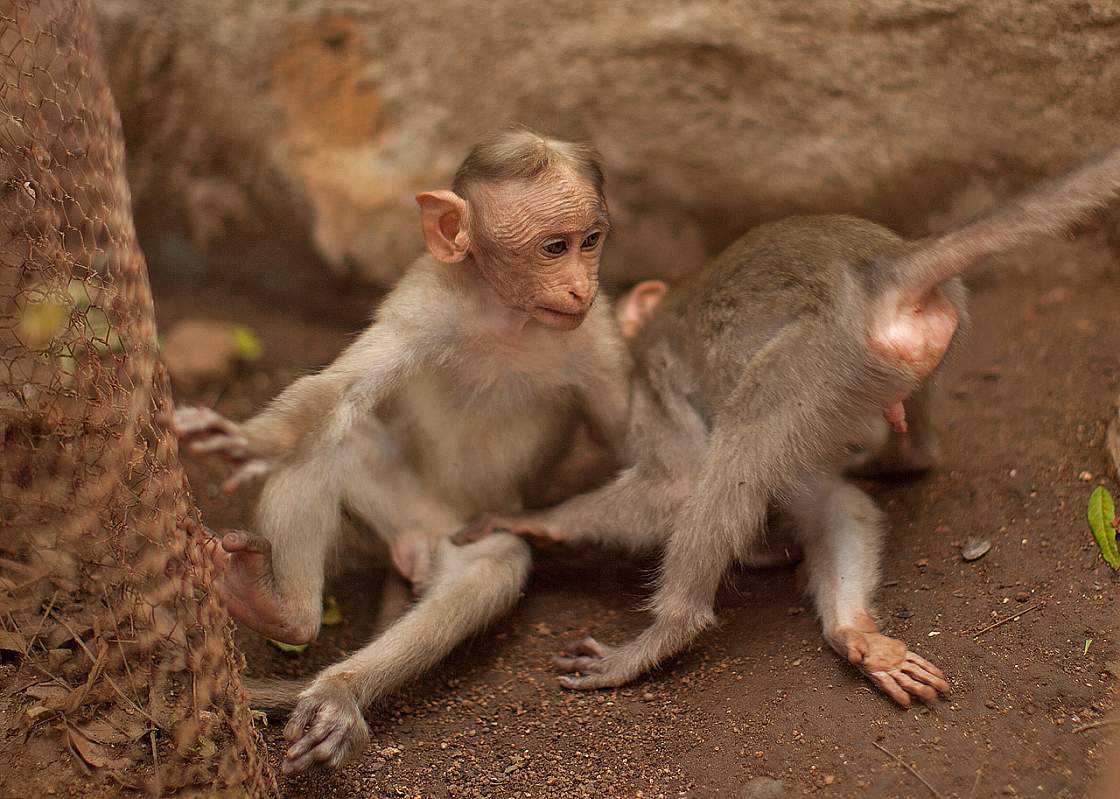 2011-01-08 10-44-47 IMG 6020