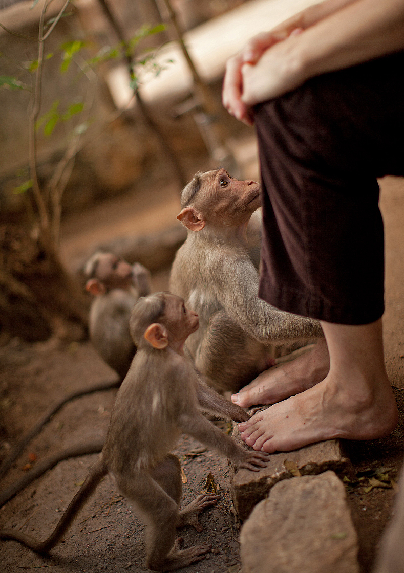 2011-01-08 10-45-15 IMG 6023