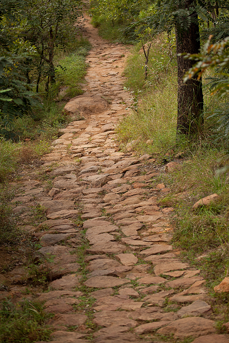 2011-01-08 11-27-12 IMG 6135