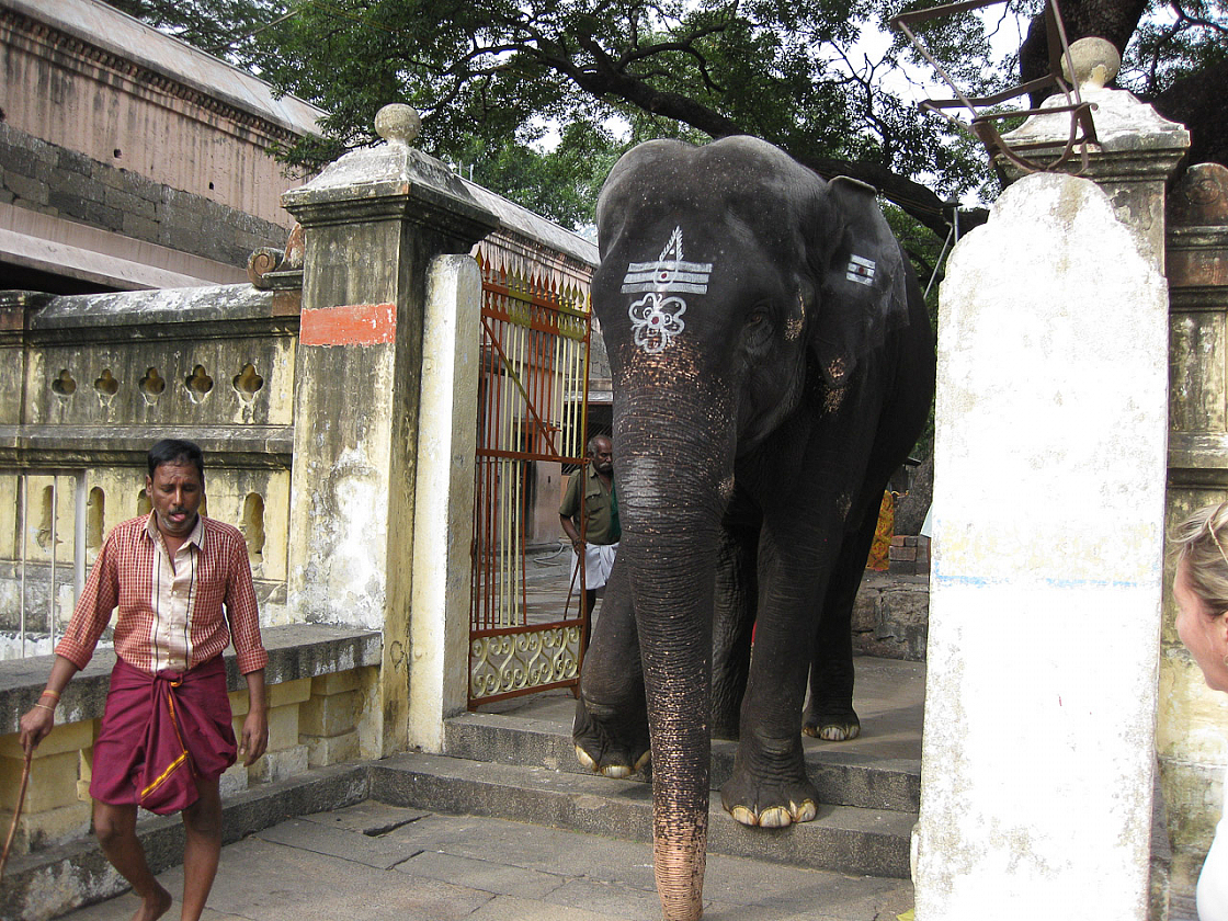 2010-12-28 05-10-45 IMG 4629