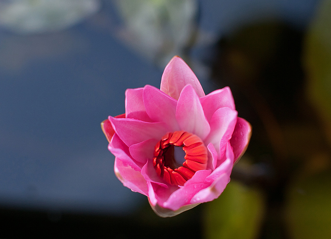 2011-01-03 06-55-31 IMG 3285