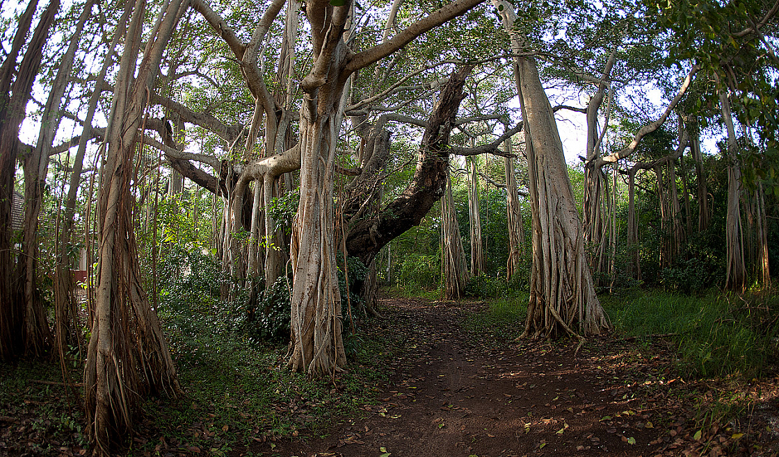 2011-01-03 07-57-52 IMG 0596