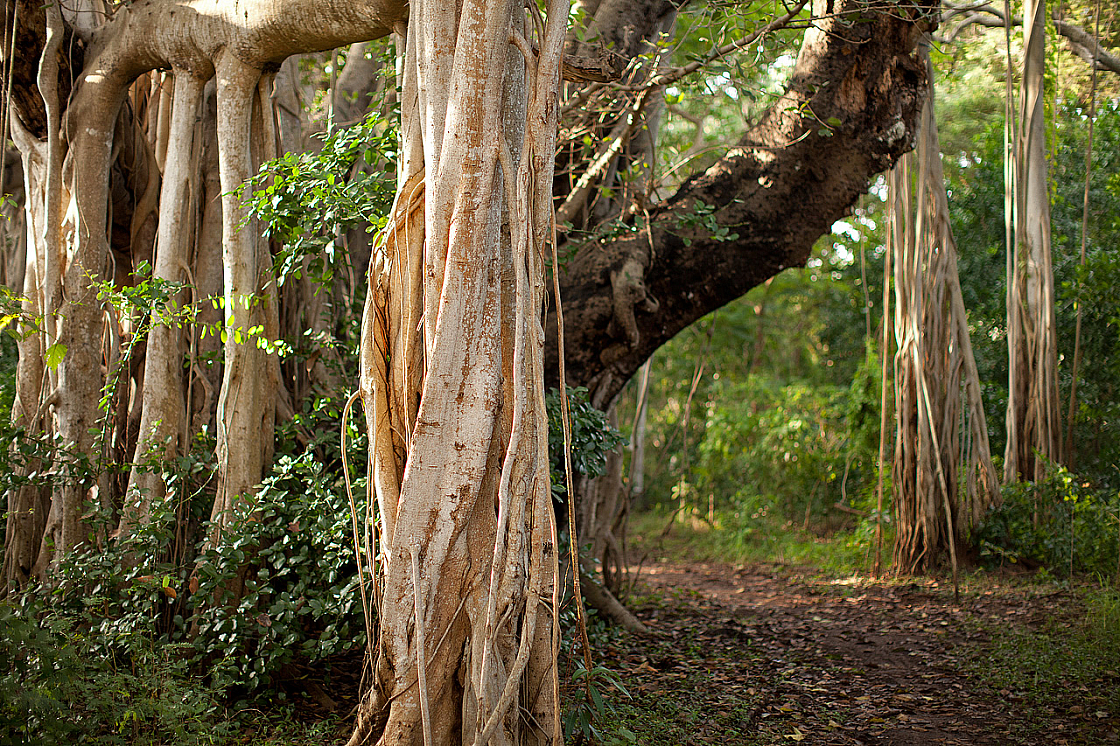 2011-01-03 07-58-44 IMG 3485