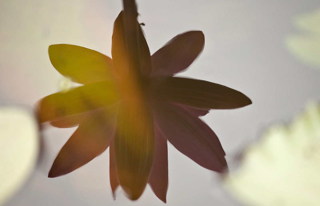 2011-01-04 09-11-34 IMG 4484