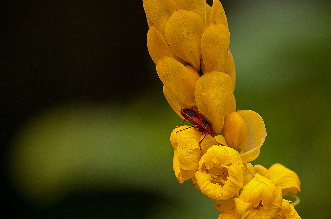 2011-01-04 10-08-07 IMG 4684