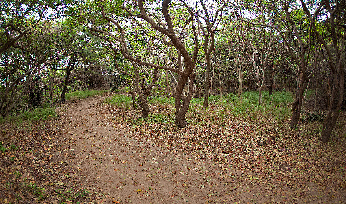 2011-01-02 17-11-56 IMG 0445