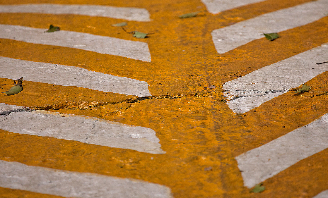 2011-01-04 10-05-29 IMG 4664