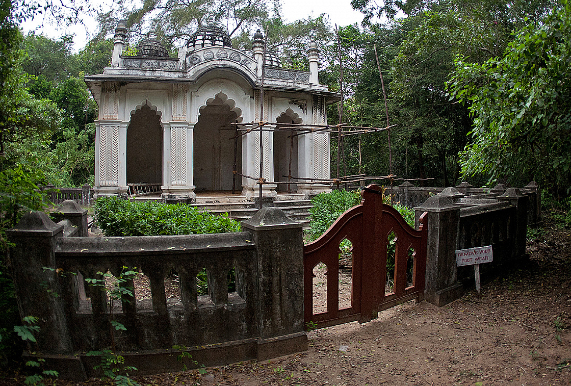 2011-01-02 17-23-56 IMG 0494