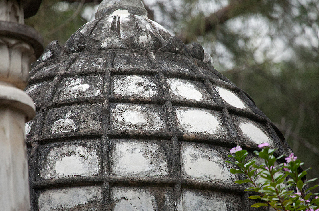 2011-01-02 17-25-44 IMG 3098