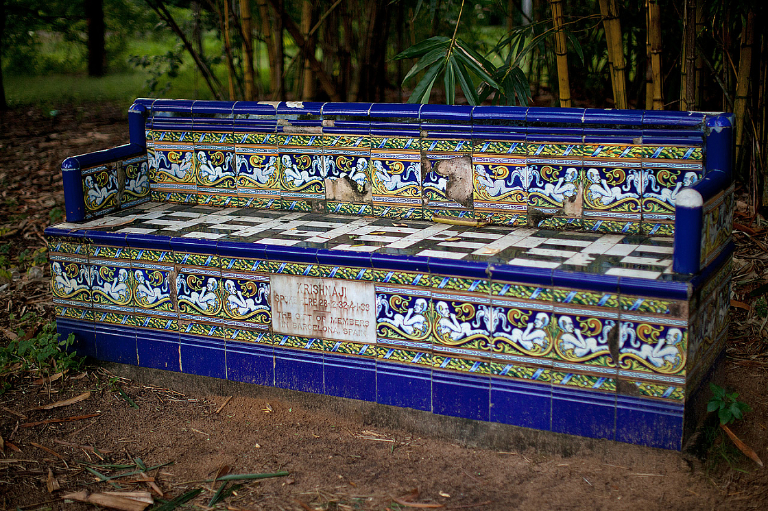 2011-01-03 07-19-25 IMG 3445