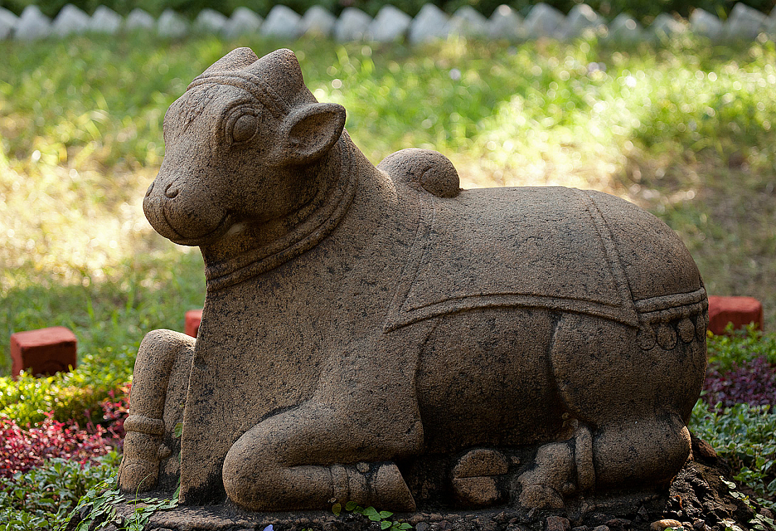 2011-01-03 08-58-10 IMG 3750