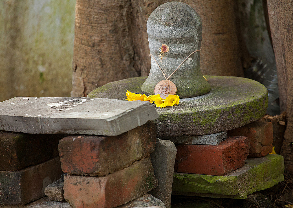 2011-01-03 09-32-15 IMG 3900