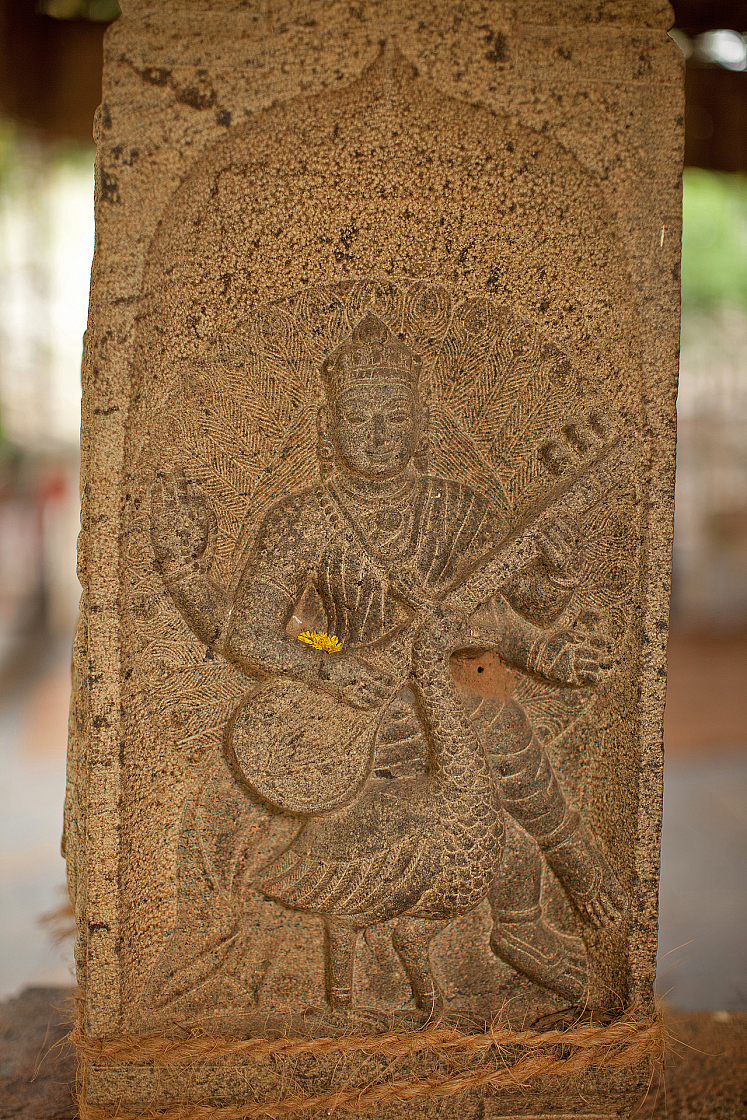 2011-01-03 17-01-40 IMG 4064