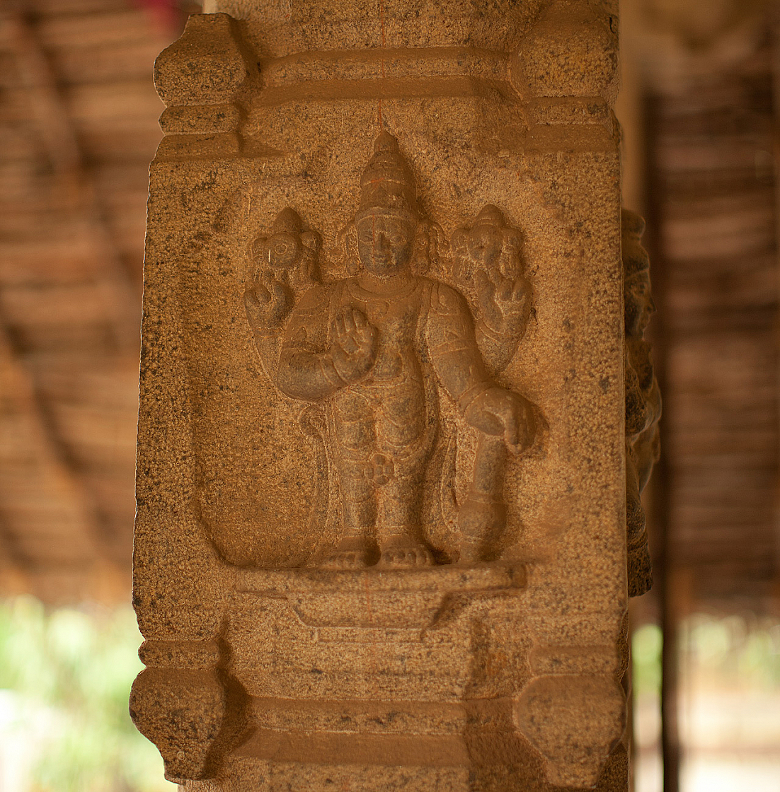 2011-01-03 17-07-01 IMG 4084