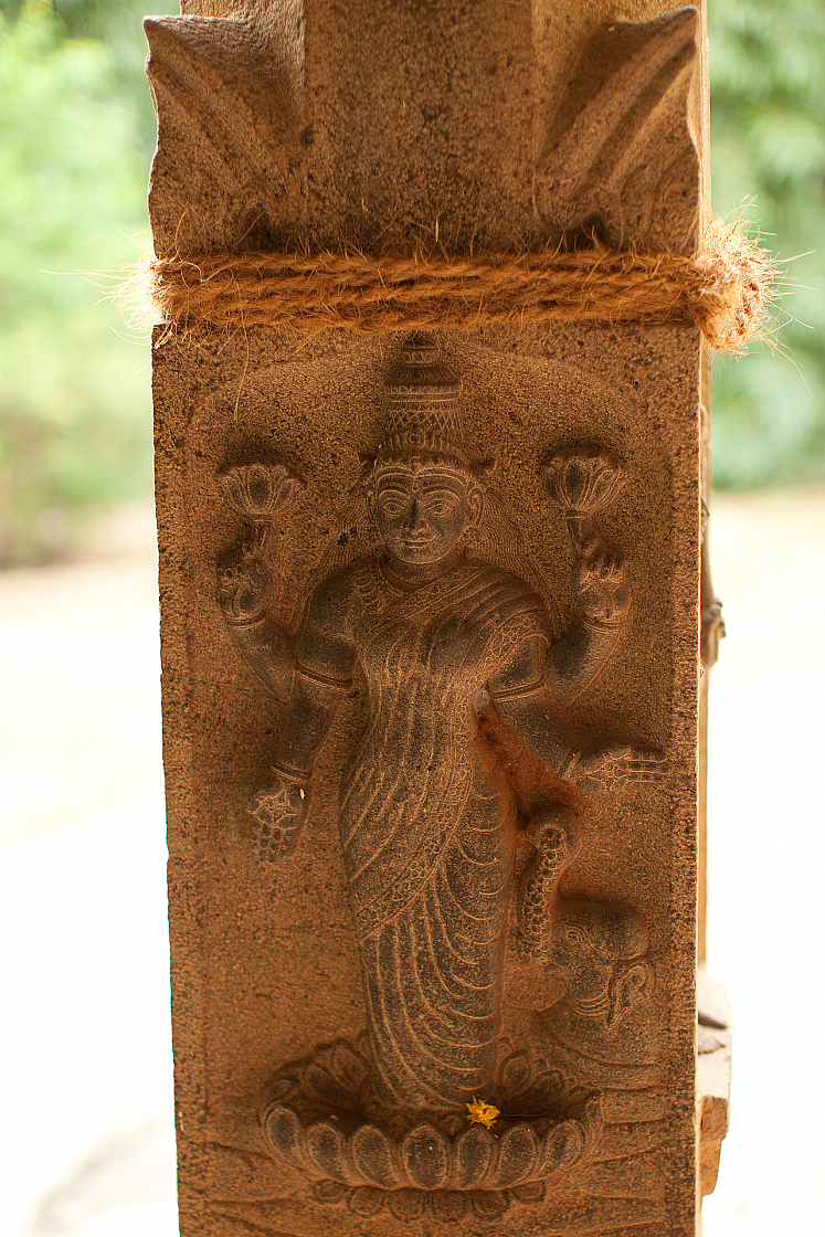 2011-01-03 17-08-07 IMG 4087