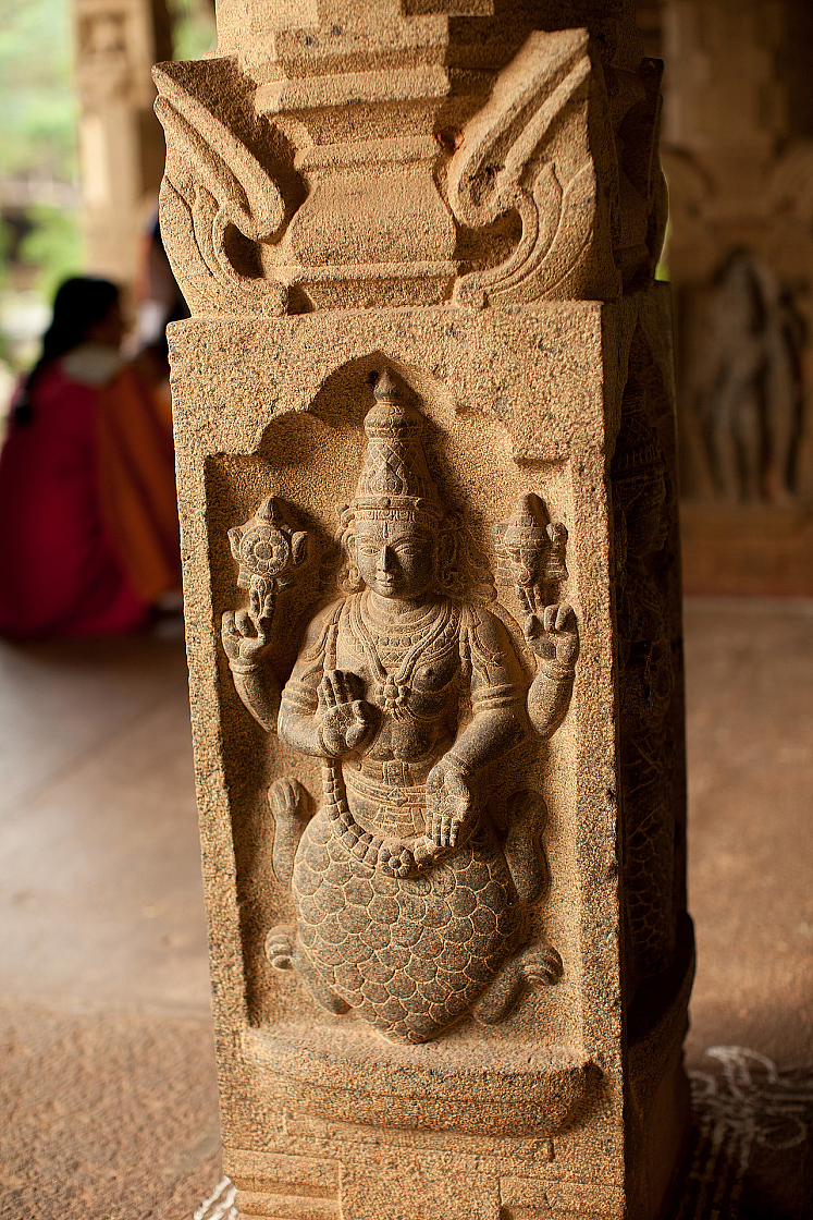 2011-01-03 17-08-34 IMG 4091